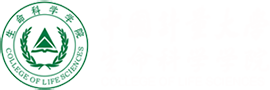 304am永利集团